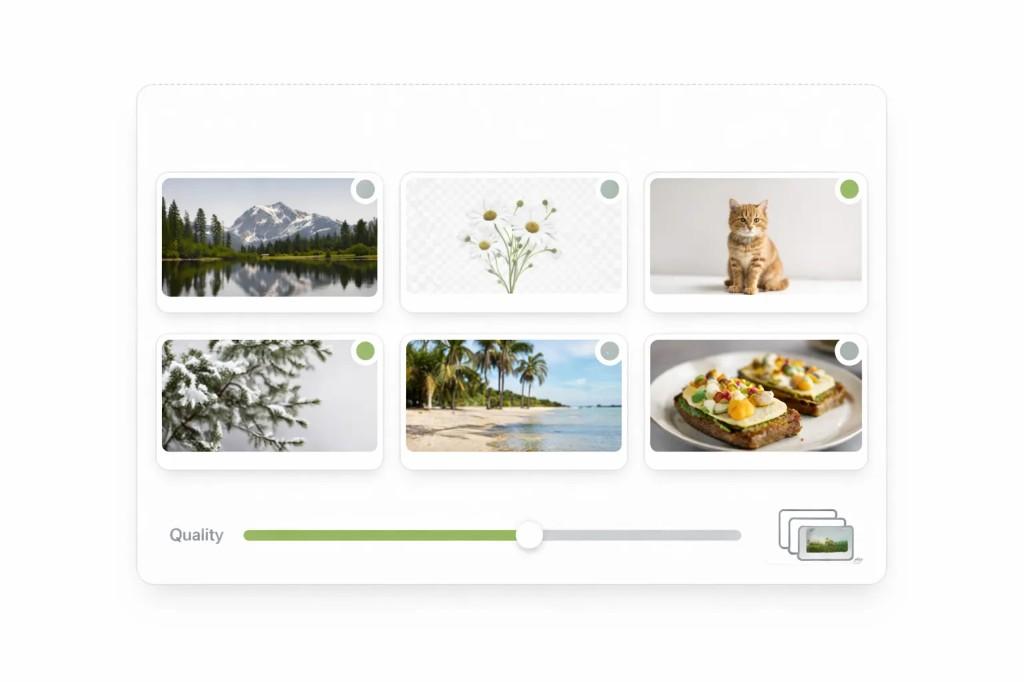Bulk WebP converter interface showing a grid of image thumbnails, status indicators, quality slider, and batch controls