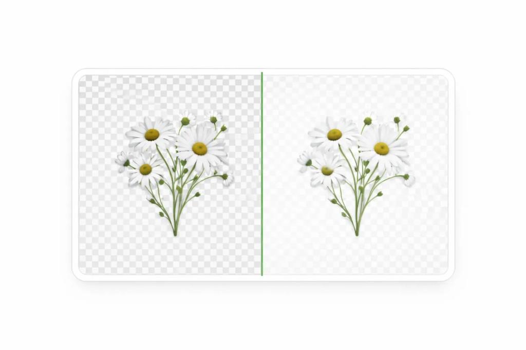 Before and after comparison of PNG and WebP conversion with transparency preserved
