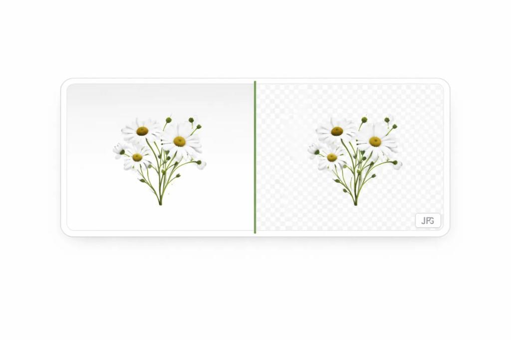 Before and after comparison illustrating transparency and quality when converting WebP to PNG